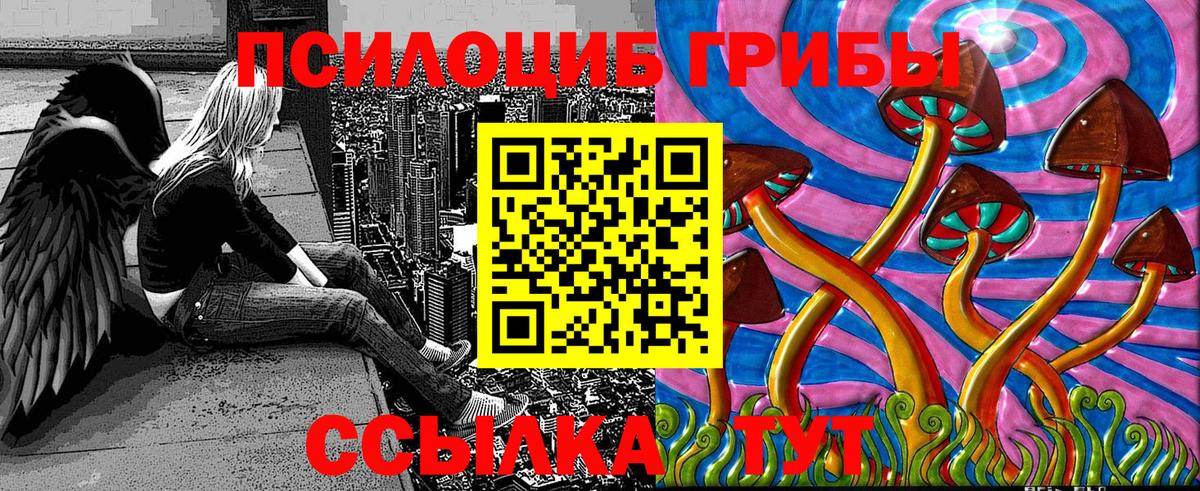 Галлюциногенные грибы Psilocybine cubensis  Вход с VPN  Бор 